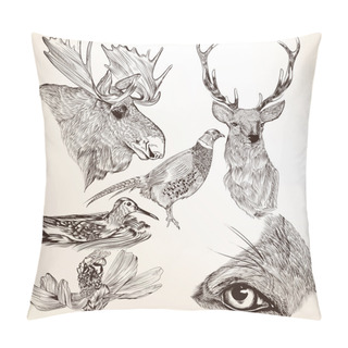 Personality  Collection Of Vector Hand Drawn Animals For Design Pillow Covers