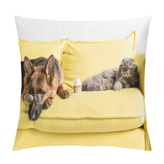 Personality  Cute German Shepherd In Glasses And Grey Cat Lying On Bright Yellow Couch With Birthday Cupcake In Apartment Pillow Covers