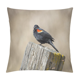 Personality  Perched Red Winged Blackbird. Pillow Covers