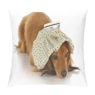 Personality  Sick Dog Pillow Covers
