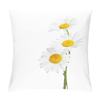 Personality  Three Flowers Of Chamomiles Pillow Covers