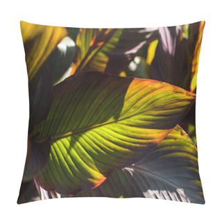 Personality  Top View Of Green Leaves With Red Lines Pillow Covers