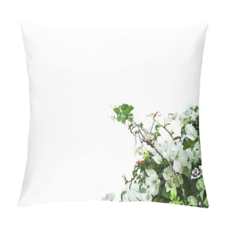 Personality  Ravishing Bougainvillea: Nature's Elegance In Your Garden Pillow Covers