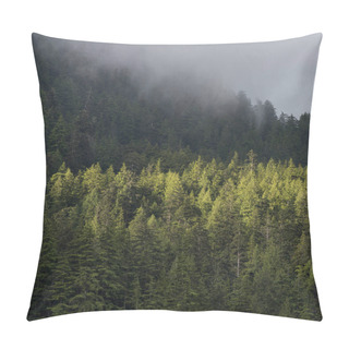 Personality  Foggy Forest, Skeena-Queen Charlotte Regional District, Haida Gwaii, Graham Island, British Columbia, Canada Pillow Covers