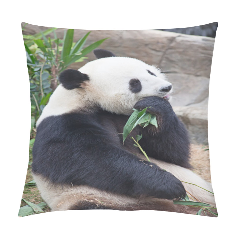 Personality  Cute animal in the nature pillow covers