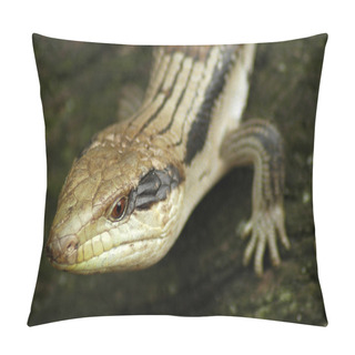 Personality  Lizard Detail Pillow Covers
