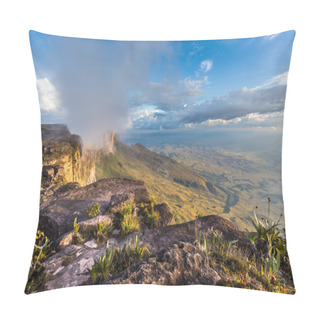 Personality  The View From The Plateau Of Roraima On The Grand Sabana - Venezuela, Latin America  Pillow Covers