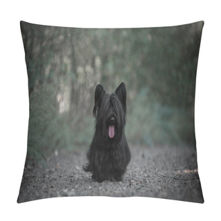 Personality  Skye Terrier Black Walking In The Woods. Pillow Covers