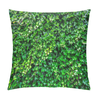 Personality  Green Ivy Leaves Background Pillow Covers