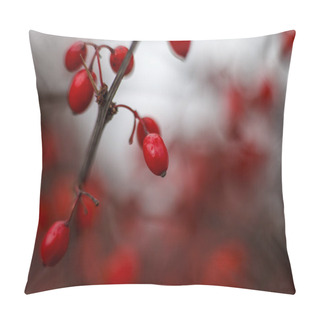 Personality  Autumn Landscape, Red Berries Barberry, Branches In The Ice, Late Autumn, Berries In The Fall On The First Snow Pillow Covers