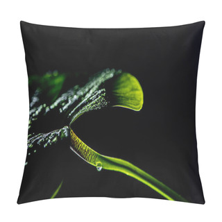 Personality  Green Tropical Leaf With Drops, Isolated On Black Pillow Covers