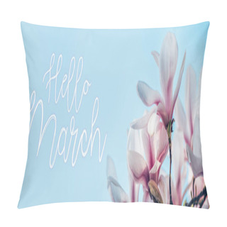 Personality  Hello March Text. Beautiful Light Pink Magnolia Tree With Blooming Flowers During Springtime In English Garden, UK. Spring Floral Banner Background Pillow Covers