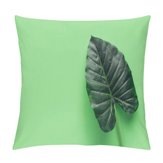 Personality  Elevated View Of Palm Leaf On Green, Minimalistic Concept  Pillow Covers
