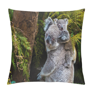 Personality  Australian Koala Bear Native Animal With Baby Pillow Covers