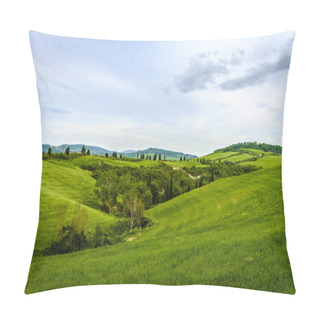 Personality  Scenery Near To Pienza, Tuscany. The Area Is Part Of The Val D'O Pillow Covers