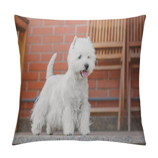 Personality  West Highland White Terrier Dog Pillow Covers