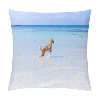 Personality  Dog Playing At The Beach Pillow Covers