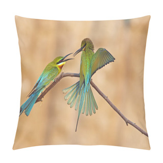 Personality  Blue Tailed Bee Eater Pillow Covers