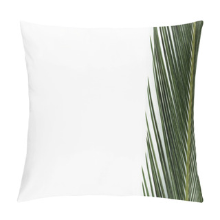 Personality  Top View Of Green Palm Leaf Isolated On White, Panoramic Shot Pillow Covers