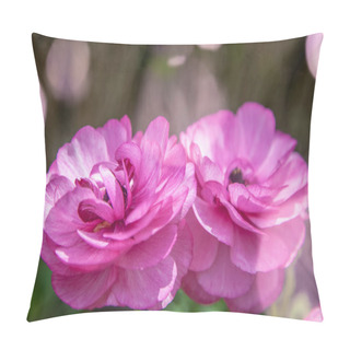 Personality  Close Up View Of Beautiful Purple Ranunculus Flowers Pillow Covers