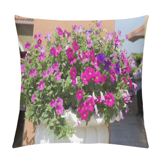 Personality  Fresh Flowers In Pots In The Garden. Pillow Covers