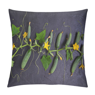 Personality  Cucumbers - Vegetables On Black Background. Summer Farm Vegetables. Food Background, Layout, Room For Text Pillow Covers