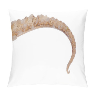 Personality  Prepared Squid Tentacle Pillow Covers