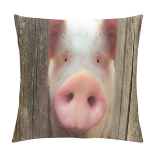 Personality  Big Pig Pillow Covers