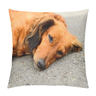 Personality  Dachshund Dog Pillow Covers