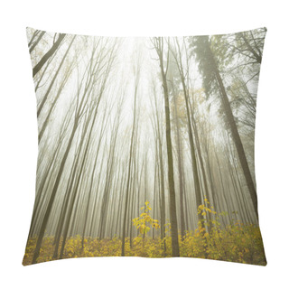 Personality  Forest Sunlight In Autumn Pillow Covers