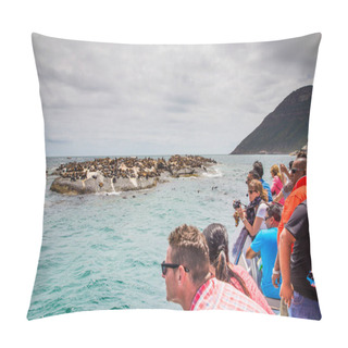 Personality  Houtbaai Western Cape Pillow Covers