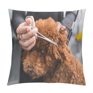 Personality  Cropped View Of African American Groomer Trimming Ear Of Brown Poodle Pillow Covers