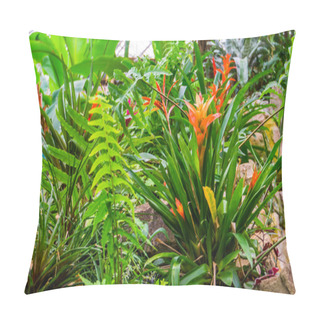 Personality  Orange Tufted Air Plant In A Tropical Garden, Popular Exotic Home And Garden Plant Pillow Covers