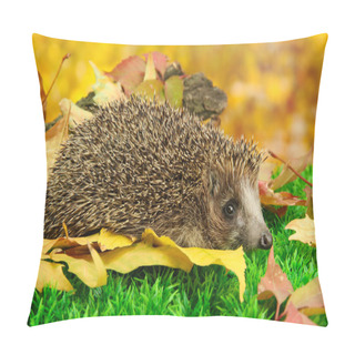 Personality  Hedgehog On Autumn Leaves In Forest Pillow Covers
