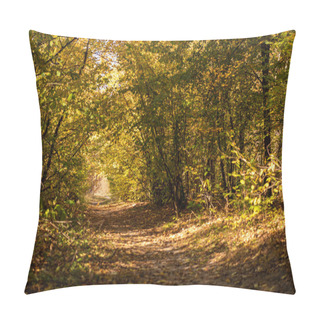 Personality  Picturesque Autumnal Forest With Golden Foliage And Path In Sunlight Pillow Covers