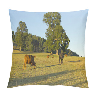 Personality  Cows Grazing In Chile Pillow Covers
