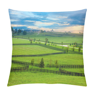 Personality  Horse Country Pillow Covers