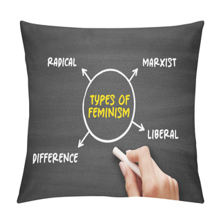 Personality  Types Of Feminism (advocacy Of Women's Rights On The Basis Of The Equality Of The Sexes) Mind Map Text Concept Background Pillow Covers