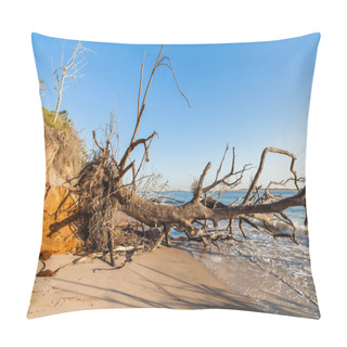 Personality  Beach Erosion Pillow Covers