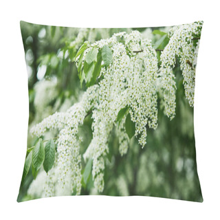 Personality  Close-up Shot Of White Bird-cherry Blossom Pillow Covers