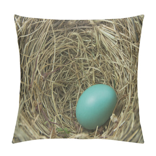 Personality  Robin's Egg Pillow Covers