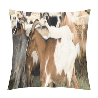 Personality  Sheep And Goats Graze On Green Grass In Spring Pillow Covers