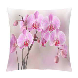 Personality  Pink Orchids Design Pillow Covers