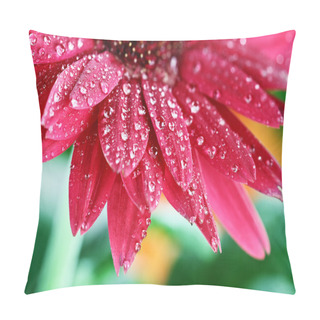 Personality  Red Gerber Daisy Pillow Covers