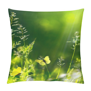 Personality  Abstract Summer Floral Green Nature Background Pillow Covers