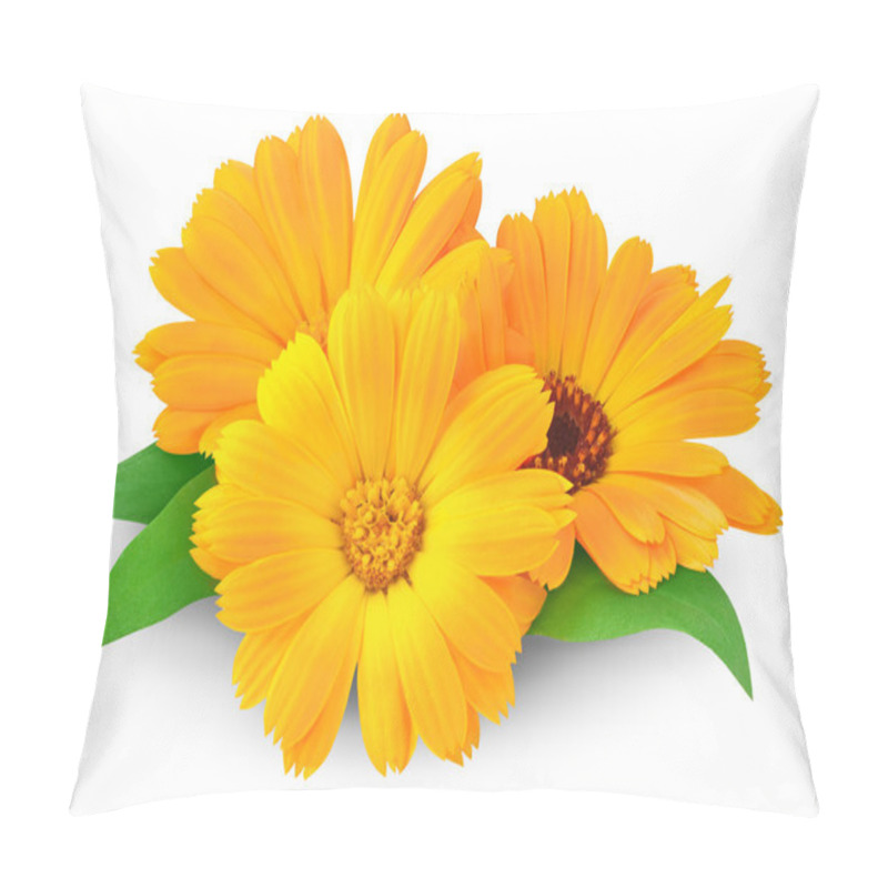 Personality  Calendula pillow covers