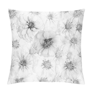Personality  Abstract Floral Background With Zinnia In Black And White Colors Pillow Covers