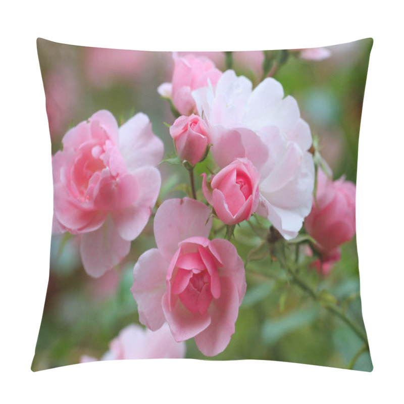 Personality  Roses in the garden pillow covers