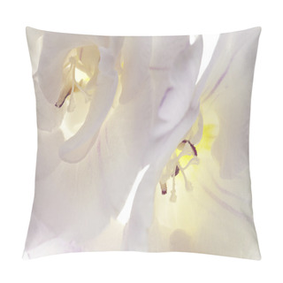 Personality  Closeup Two Trumpet Flowers On White Background Pillow Covers