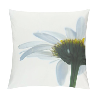 Personality  Camomile. Pillow Covers